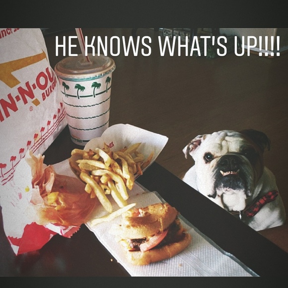 Have a Fur Baby..I WILL FOLLOW!!🐶💜🍃 - Picture 2 of 5